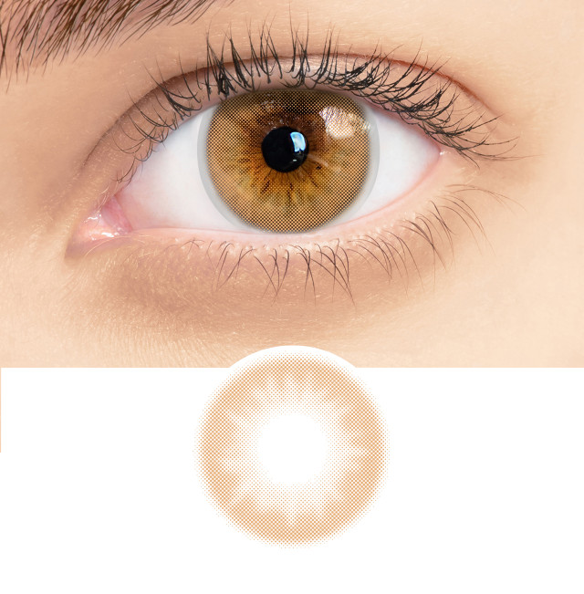 RSY11 Belgian Hazel RSY11 Belgian Hazel