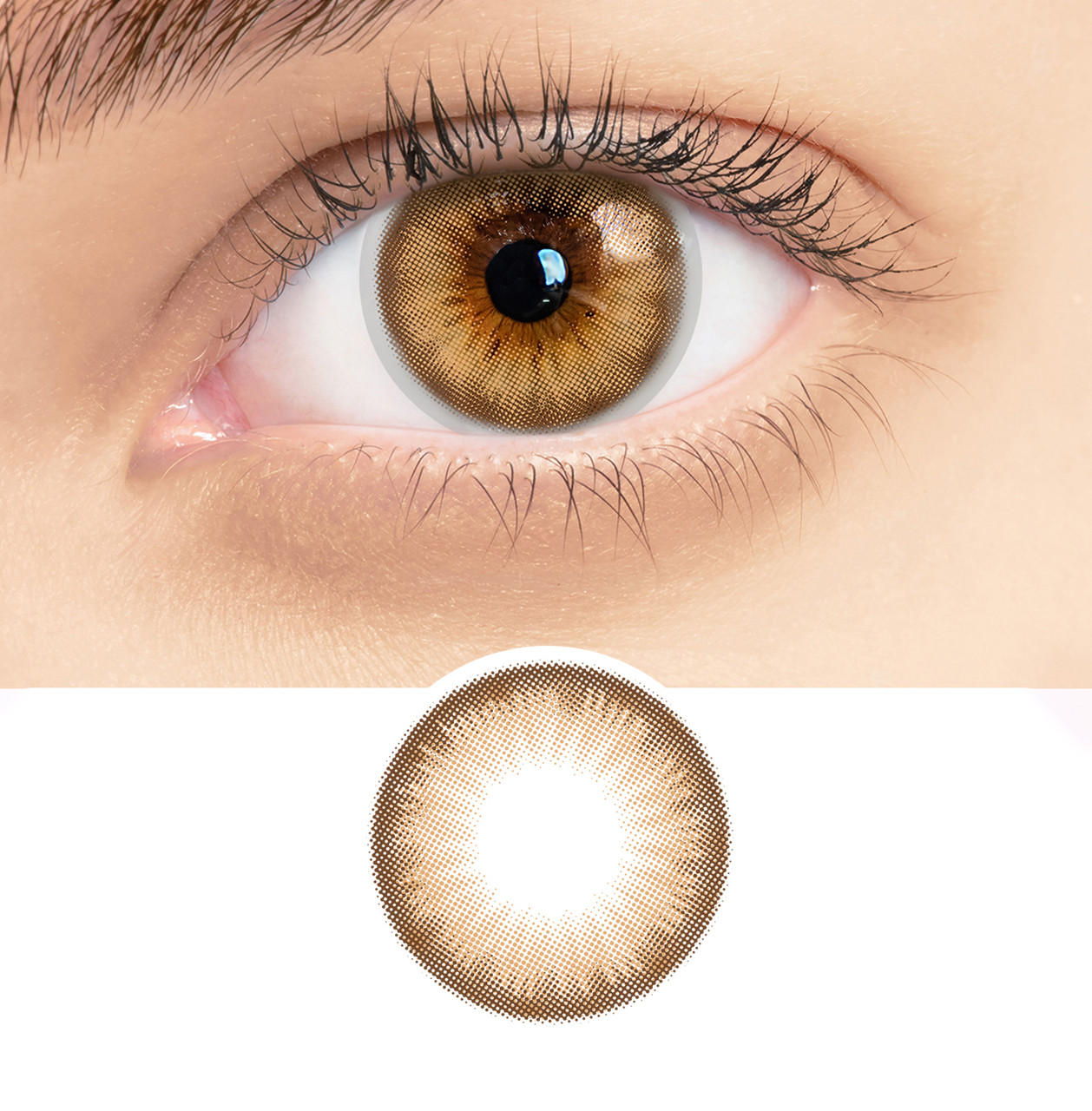 RSY15 Toffee Hazel RSY15 Toffee Hazel