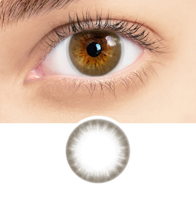 RSY19 Champagne Hazel RSY19 Champagne Hazel